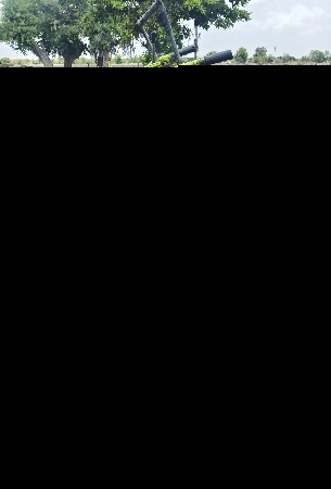 trektar vecvanuse