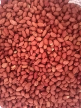 ગીરના 4 નું બી.બેસવા છે.
