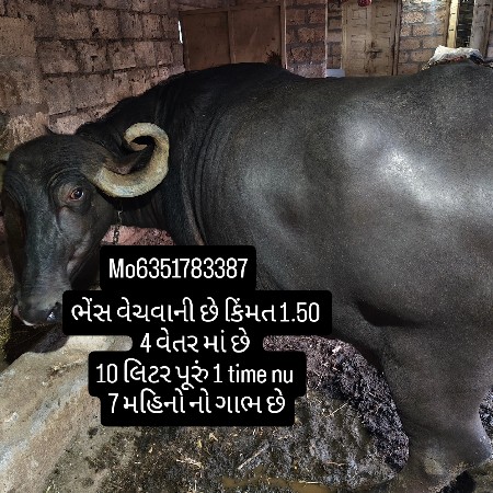 વેચવાની છે