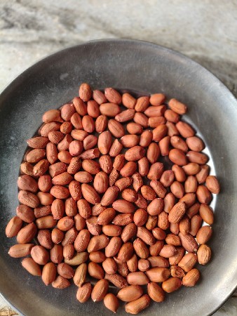 માંડવી વેચવાનીં છે