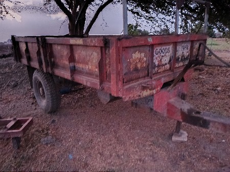 ટોલી વેસવાનીછે