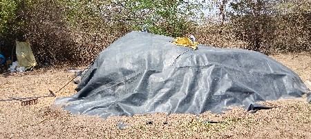 ચોમાસુ માંડવી નો ભૂકો કોરો જી 22