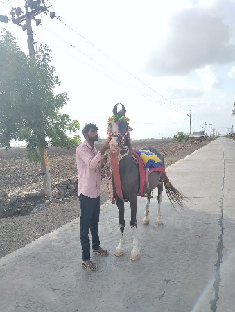 વેચવાની છે