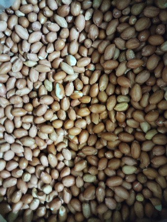ગિરનાર 4