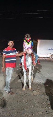 સમ્પી વેચવાનીછે