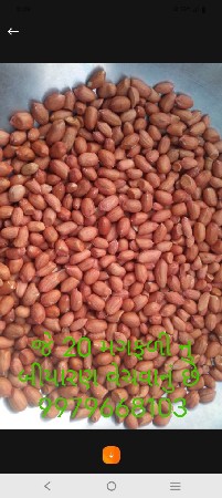 જે 20 નું બીયારણ વેચવા નું છે