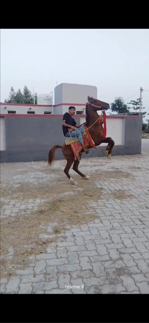 Sata karva na che