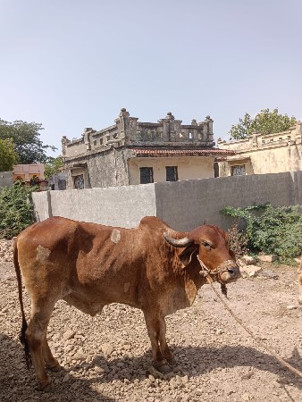 9023254950