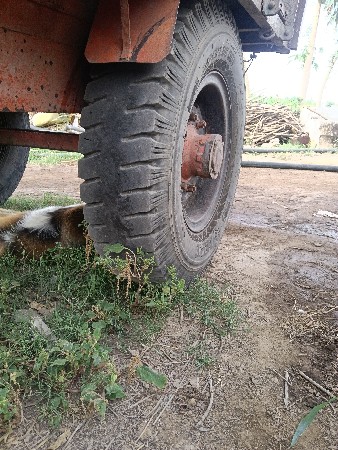 આટોલી વેછવાની છે