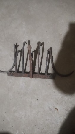 મીંદડી