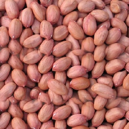 J20 માંડવી નુ બી