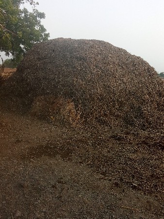 ભૂકો વેચવાનો છે