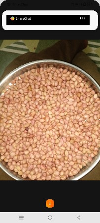 38 નબર બીયારન વેચવનું સે