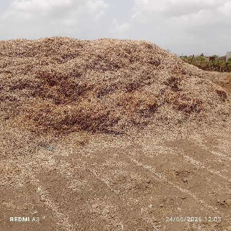 માંડવી નો ભુકો
