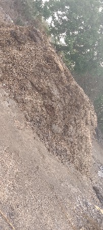 ખાતર‌ વેસવાનુસે