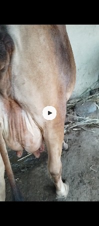 8160394440