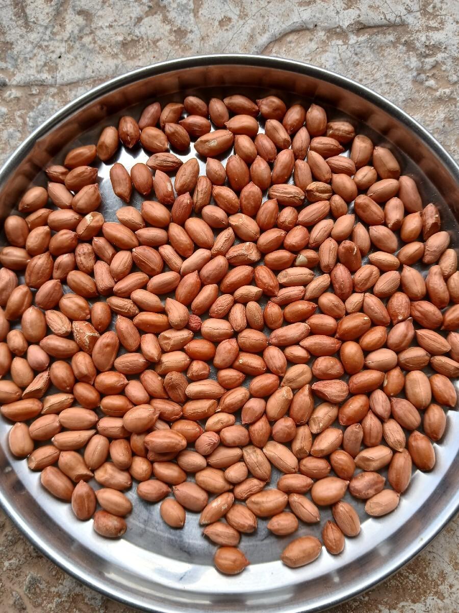 કાનજી રાઠોડ