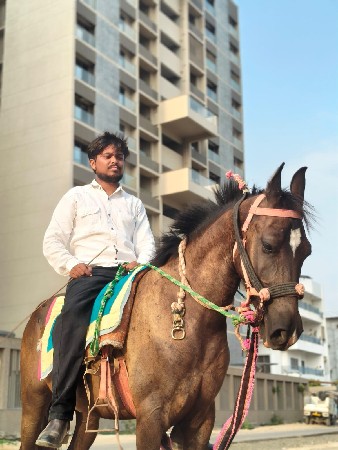 ત્રણ વર્ષની ઉછેરી છે