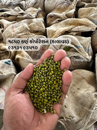 23નંબર મગફળી નું બીયારણ છે