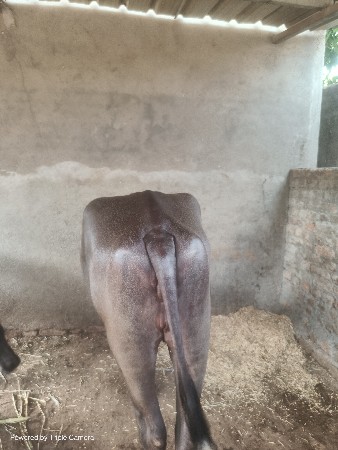 40₹