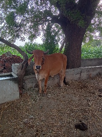 9898725922