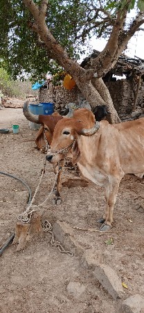 3.ધર.