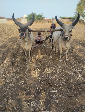ની આપેલા‌ પર ફોનકરહો
