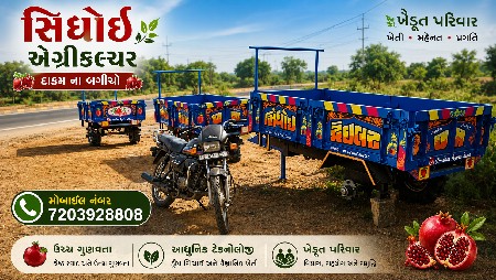 દાડમ ના બગીચો
મોબાઇલ નંબર  72039288