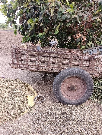 ગાડું વેચવાનું છે.