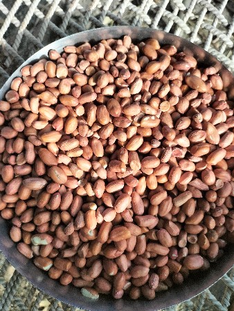 K41 નું બિયારણ