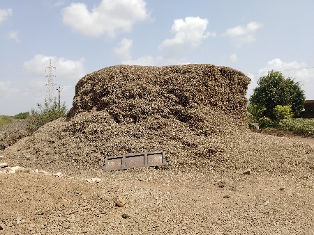 માંડવી નૂ મગોટૂ