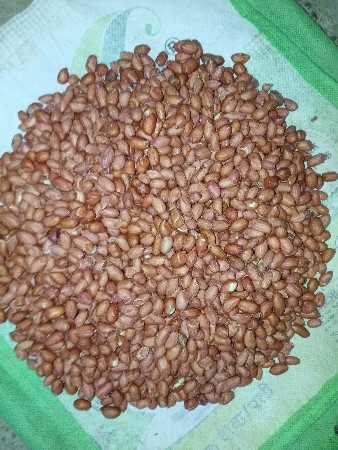 20 કિલોના 2600 રૂપિયા