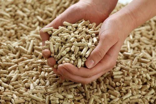 Biomass pallets