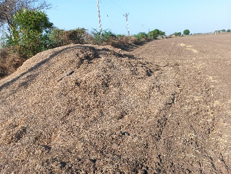 ભુકો વેસવાનો છે