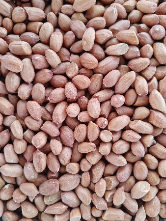 45 નંબર માંડવી નુ બી છે