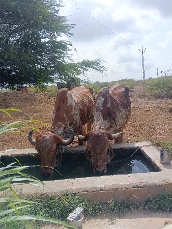 બીજીબરના