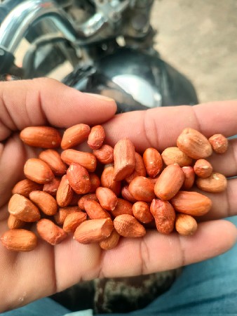 41 નંબર