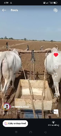 ઓરણીખેદુતીસેવેસવાની