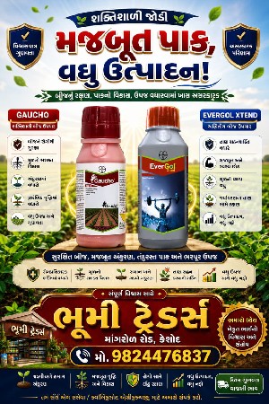 ગીરનાર 4