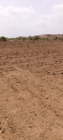 મોટા વીઘા 90