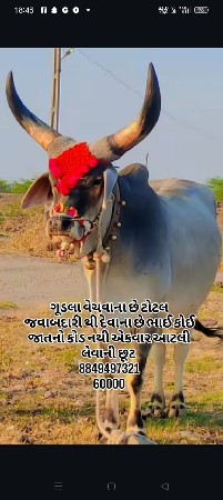 २