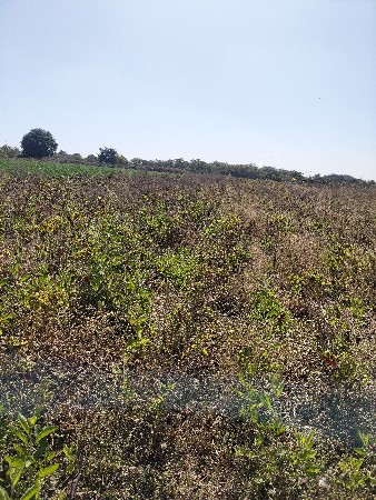 જમીન લેવા માટે કોન્ટેક્ટ કરો