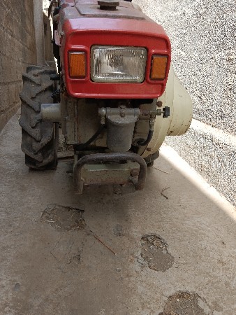 મીદડૂ સીંગ ડાવારૃ