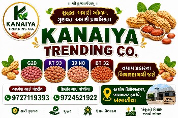 મગફળી બિયારણ