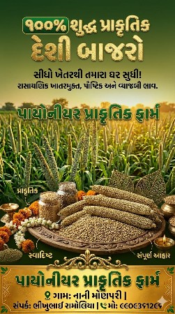 પ્રાકૃતિક ખેતી થી તૈયાર કરેલ બાજરી