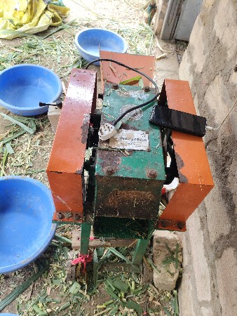 પાંચ મહિના જૂનું
