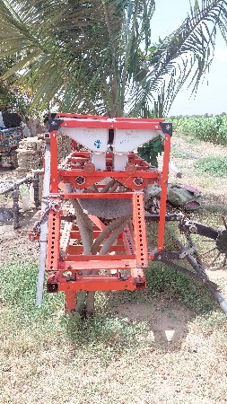 7 દા
7 દાંતા નિ