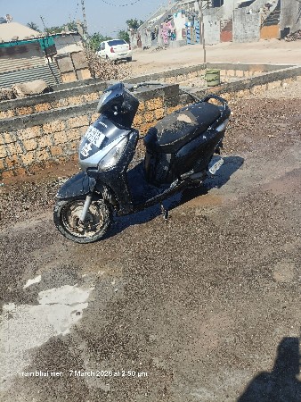 એવીએટર
