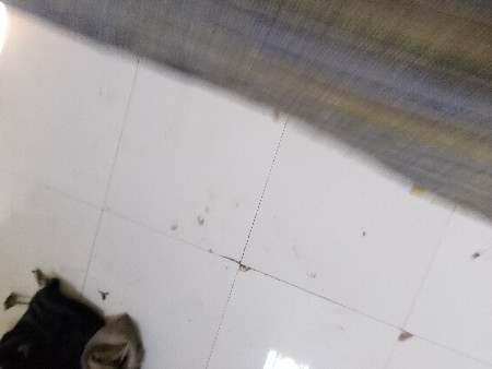 ગાય વેચવાની છે
