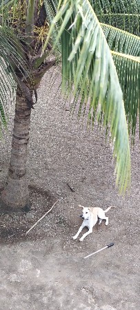 પ્લોટ વેચવાનો છે
